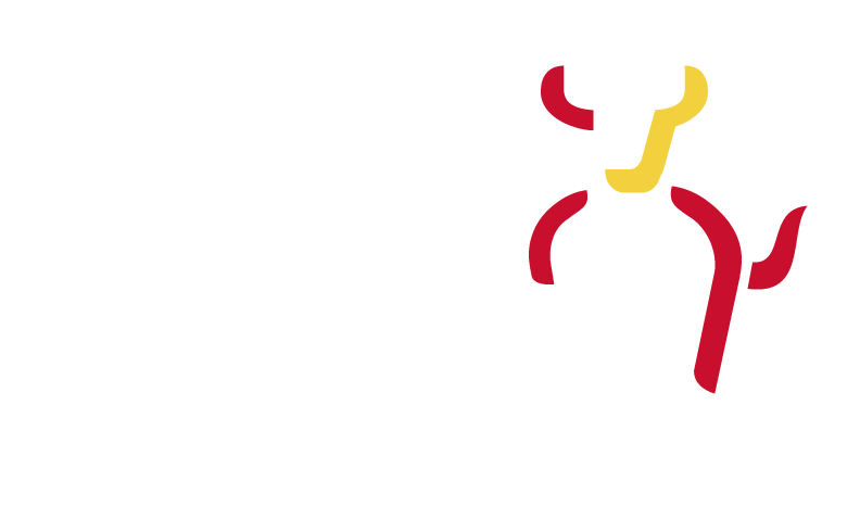 Inicio – Nuevo Inicio – Nuevo